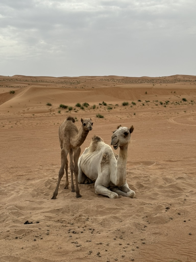 5511324F-7F9F-4B42-A6BE-A679B349F289_1_105_c