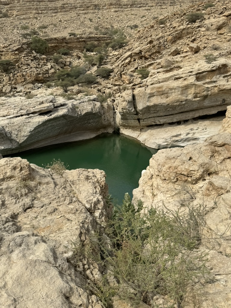 8577A248-A6ED-456B-AFDC-563038547F52_1_105_c