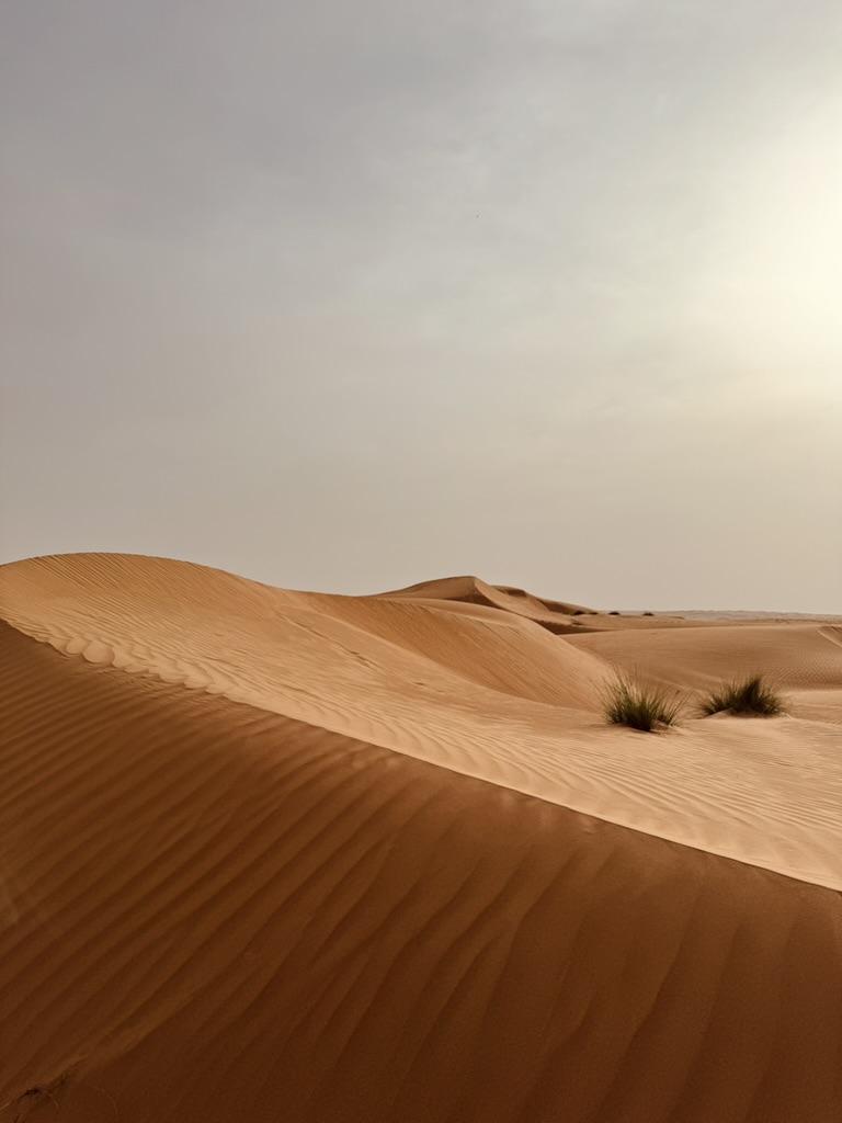 D384780A-1DE9-4168-93BD-04E35A07C304_1_105_c